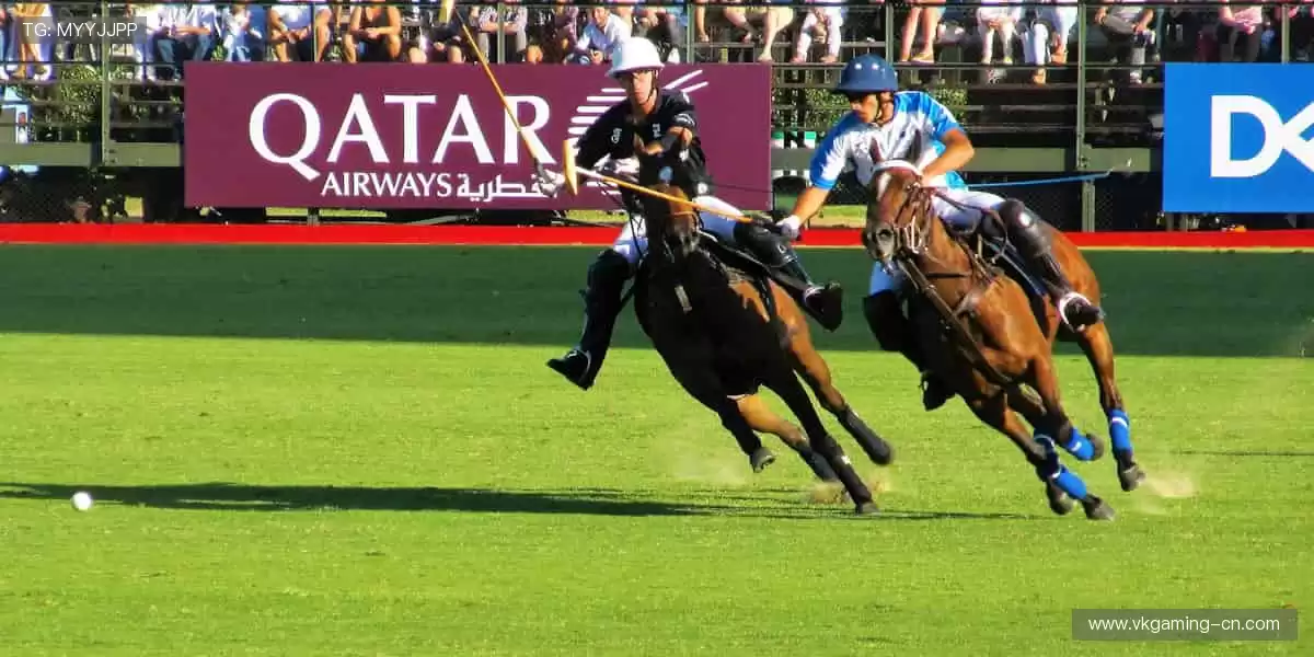 一键直击全球赛事，精彩从不缺席！🏀